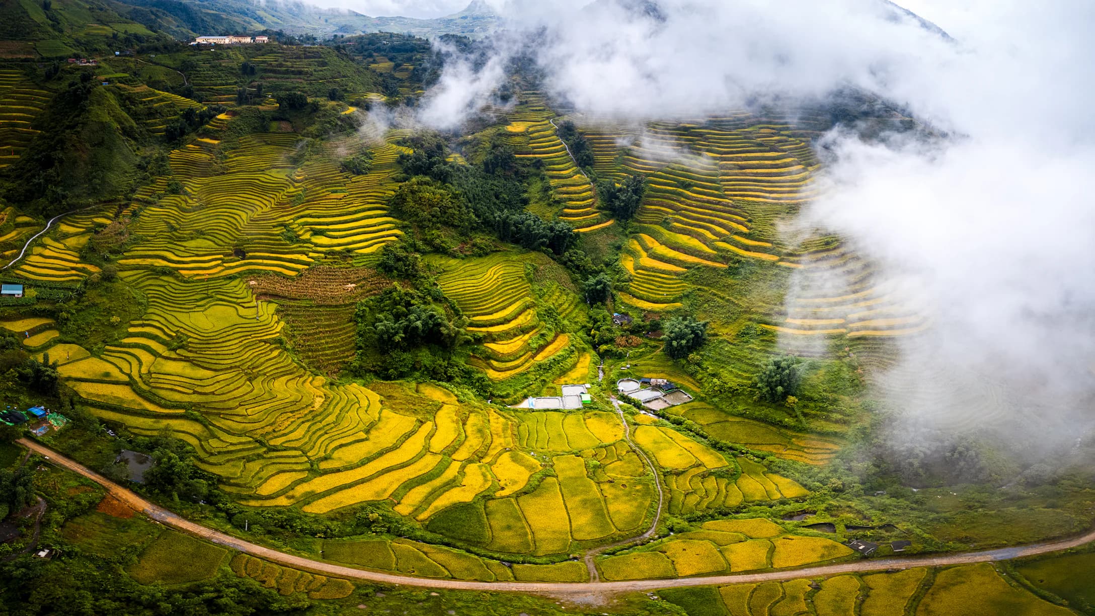 Aerial view of terraced rice fields climbing through clouds